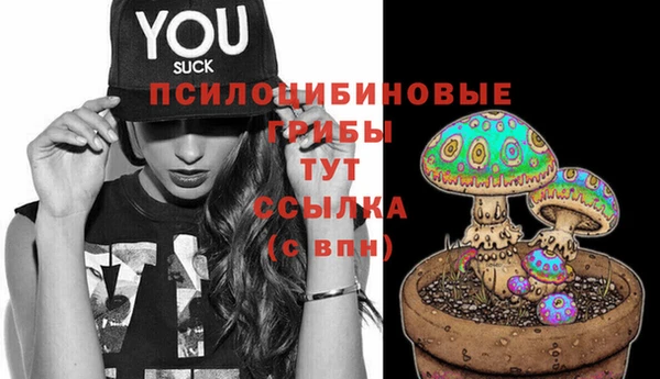 метадон Алзамай