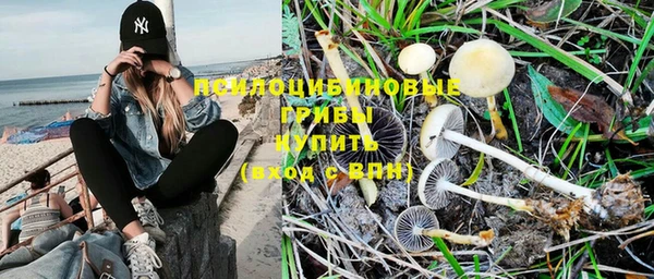 PSILOCYBIN Переславль-Залесский